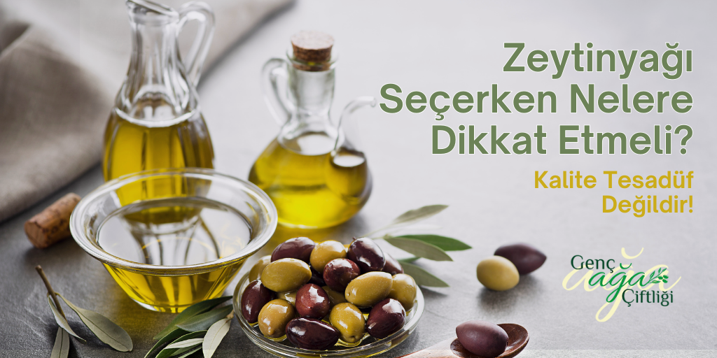 Zeytinyağı Seçerken Nelere Dikkat Etmeli?