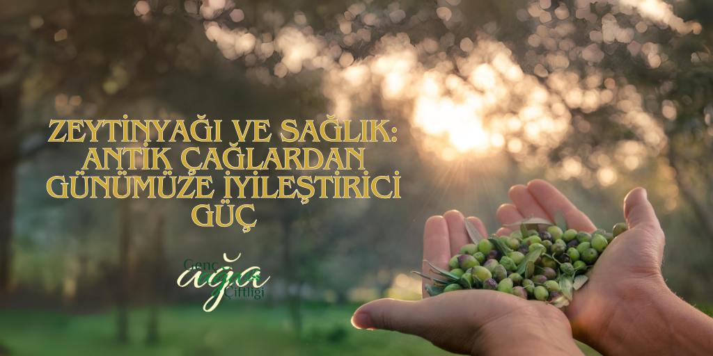 Zeytinyağı ve Sağlık: Antik Çağlardan Günümüze İyileştirici Güç