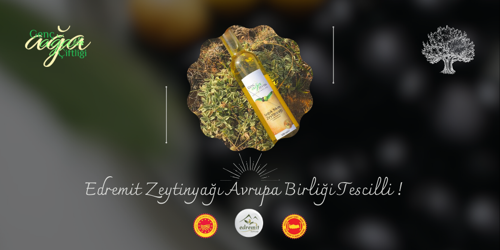 Edremit Zeytinyağının Eşsiz Dünyası: Avrupa Birliği Tescilli ve Yöresel İşaretli Lezzet