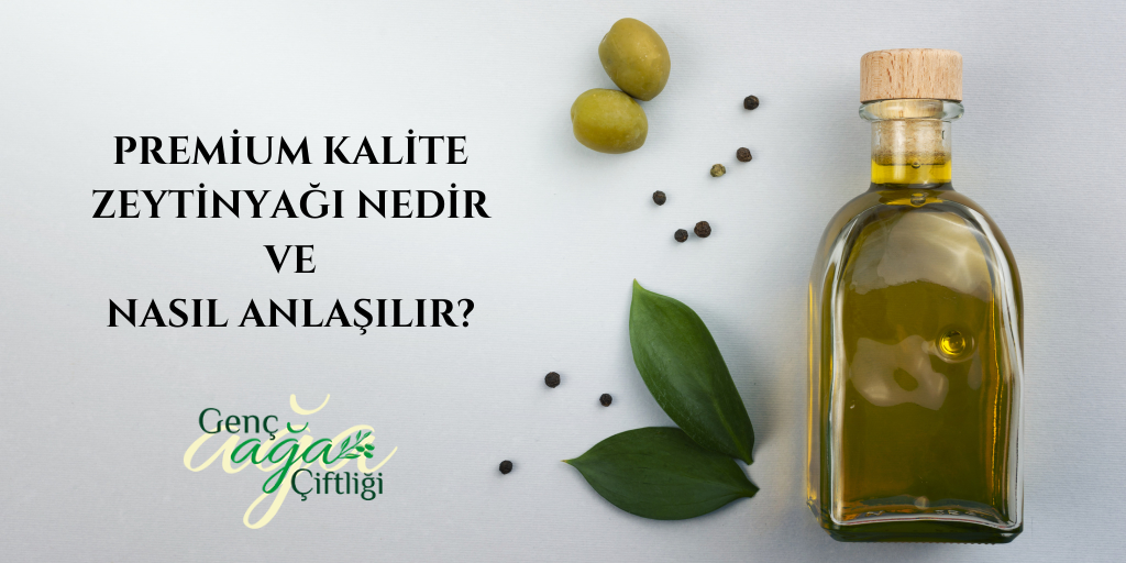 Premium Kalite Zeytinyağı Nedir ve Nasıl Anlaşılır?