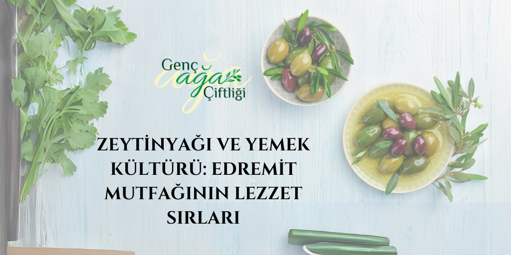 Zeytinyağı ve Yemek Kültürü: Edremit Mutfağının Lezzet Sırları