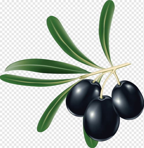 Siyah Zeytin